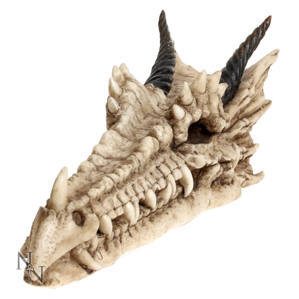 Nemesis Now - Draco Skull Weihrauchhalter - Creme